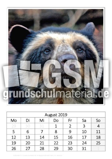 August_Brillenbär.pdf